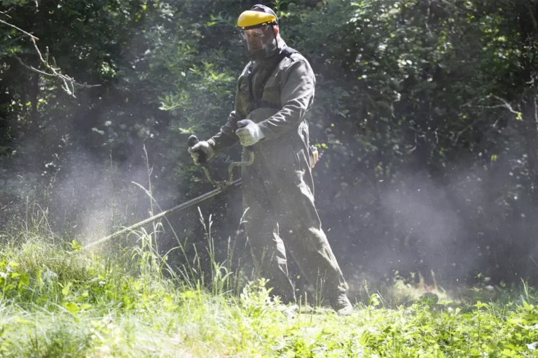 Voici comment savoir si le débroussaillage est obligatoire