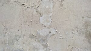 Mur intérieur peint en beige chaud avec lumière naturelle