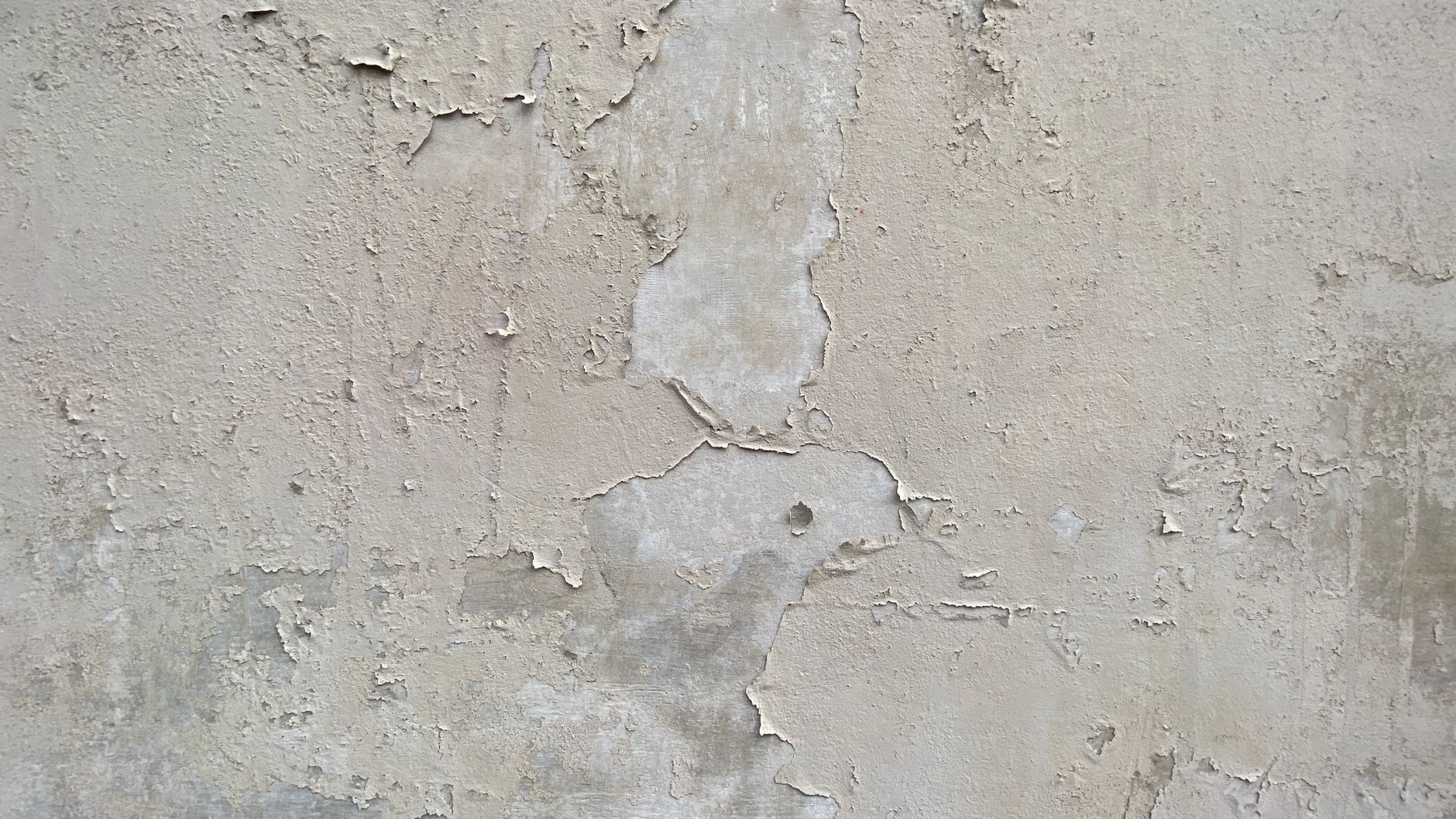 Mur intérieur peint en beige chaud avec lumière naturelle