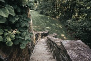 Escalier en pierre naturelle dans un jardin en pente avec végétation