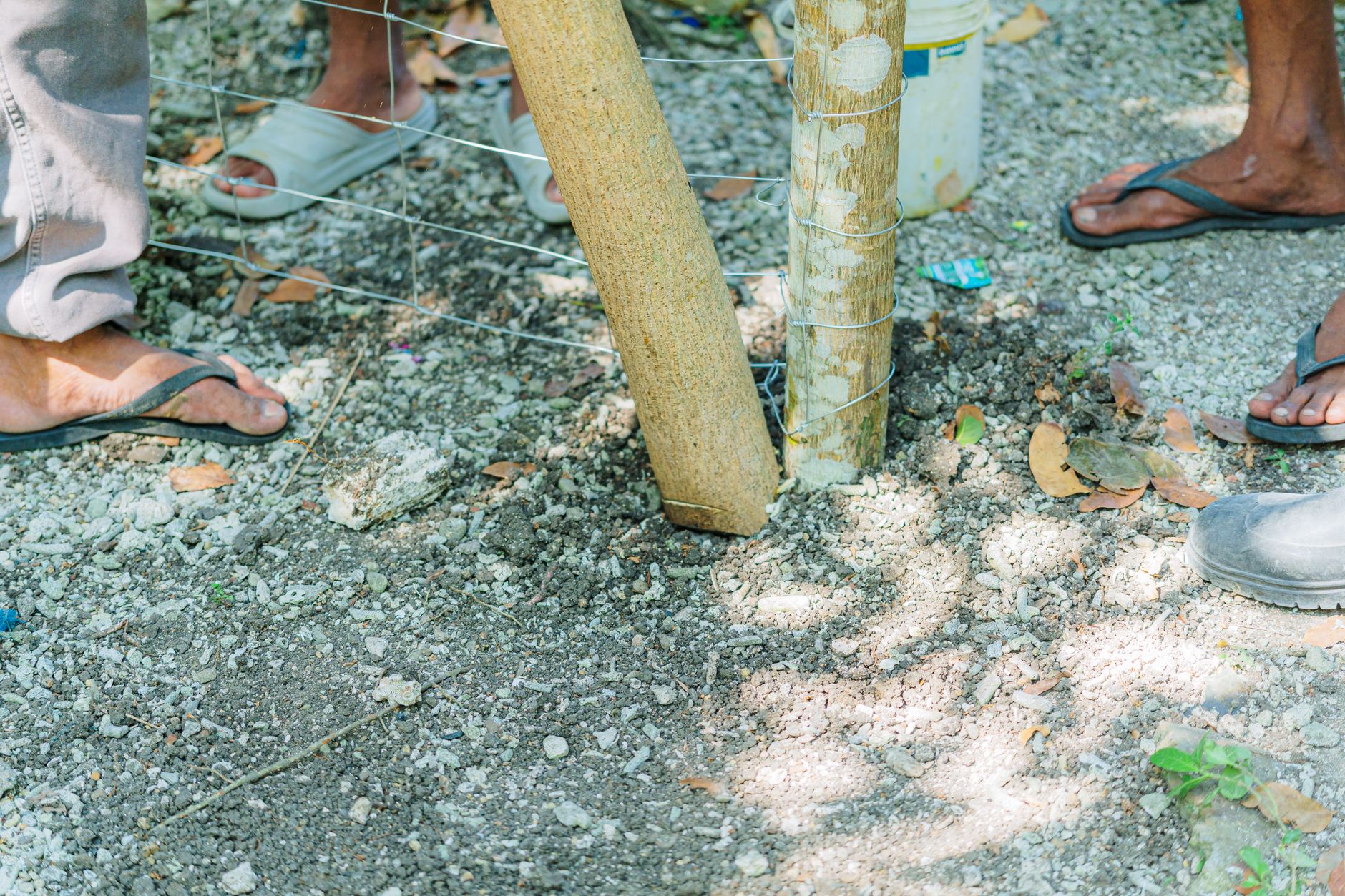 Poteau en bois massif pour structure de pergola extérieure