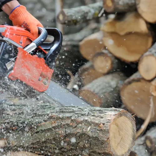 Voici quelle tronçonneuse choisir pour votre bois de chauffage