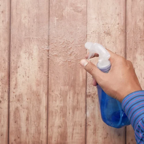 Voici pourquoi votre mur se tache à cause du tanin du bois