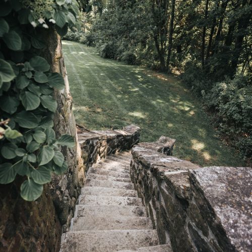 Escalier en pierre naturelle dans un jardin en pente avec végétation