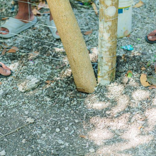 Poteau en bois massif pour structure de pergola extérieure